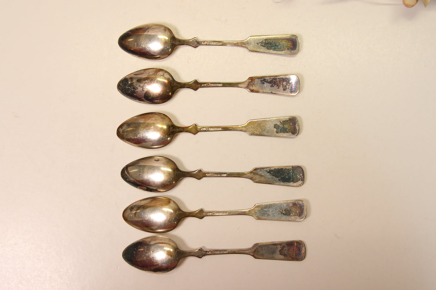 Hopea Pikkulusikat Musla 6kpl