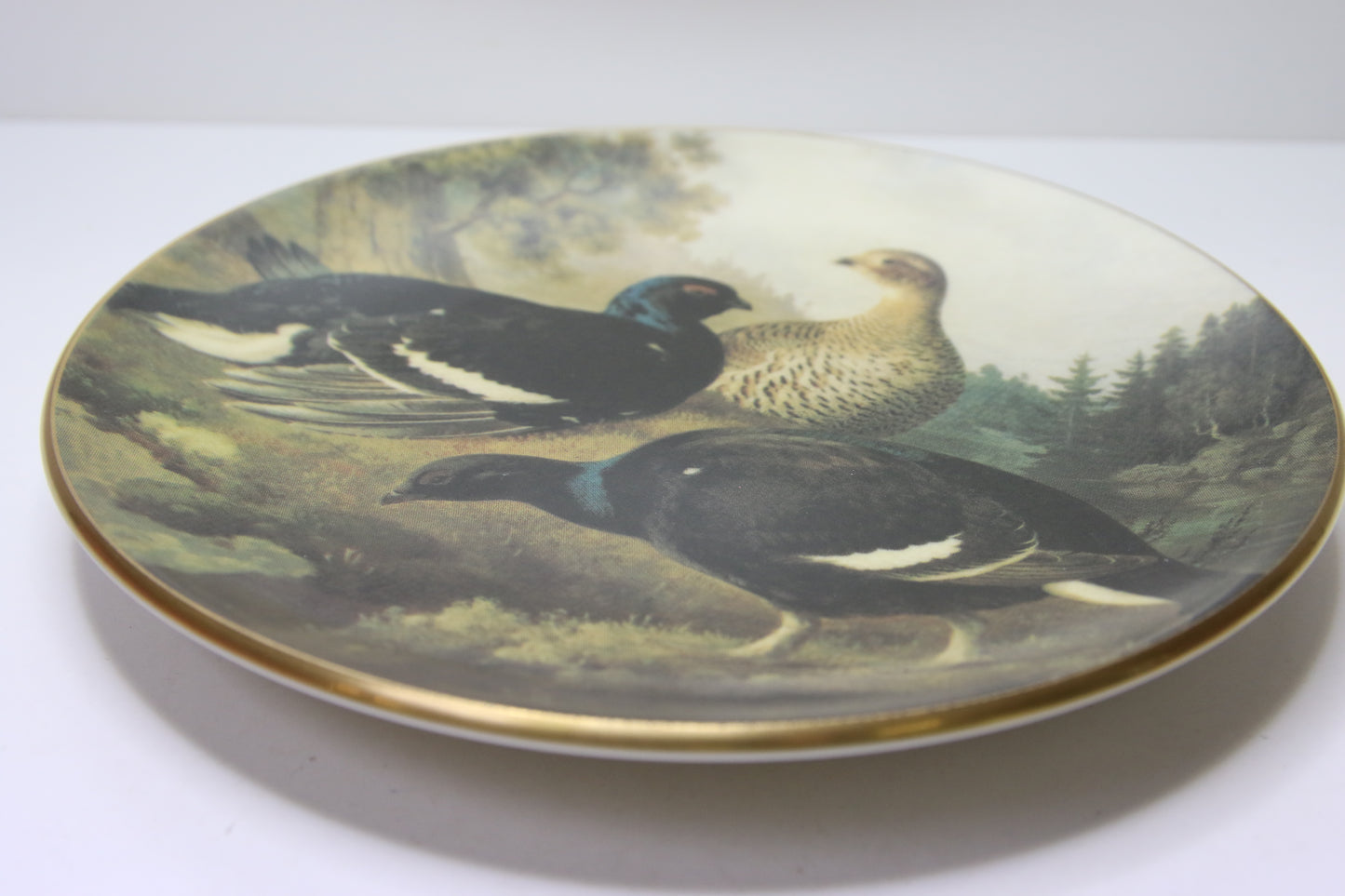 Arabia Teeriä rantatöyräällä seinälautanen von Wright