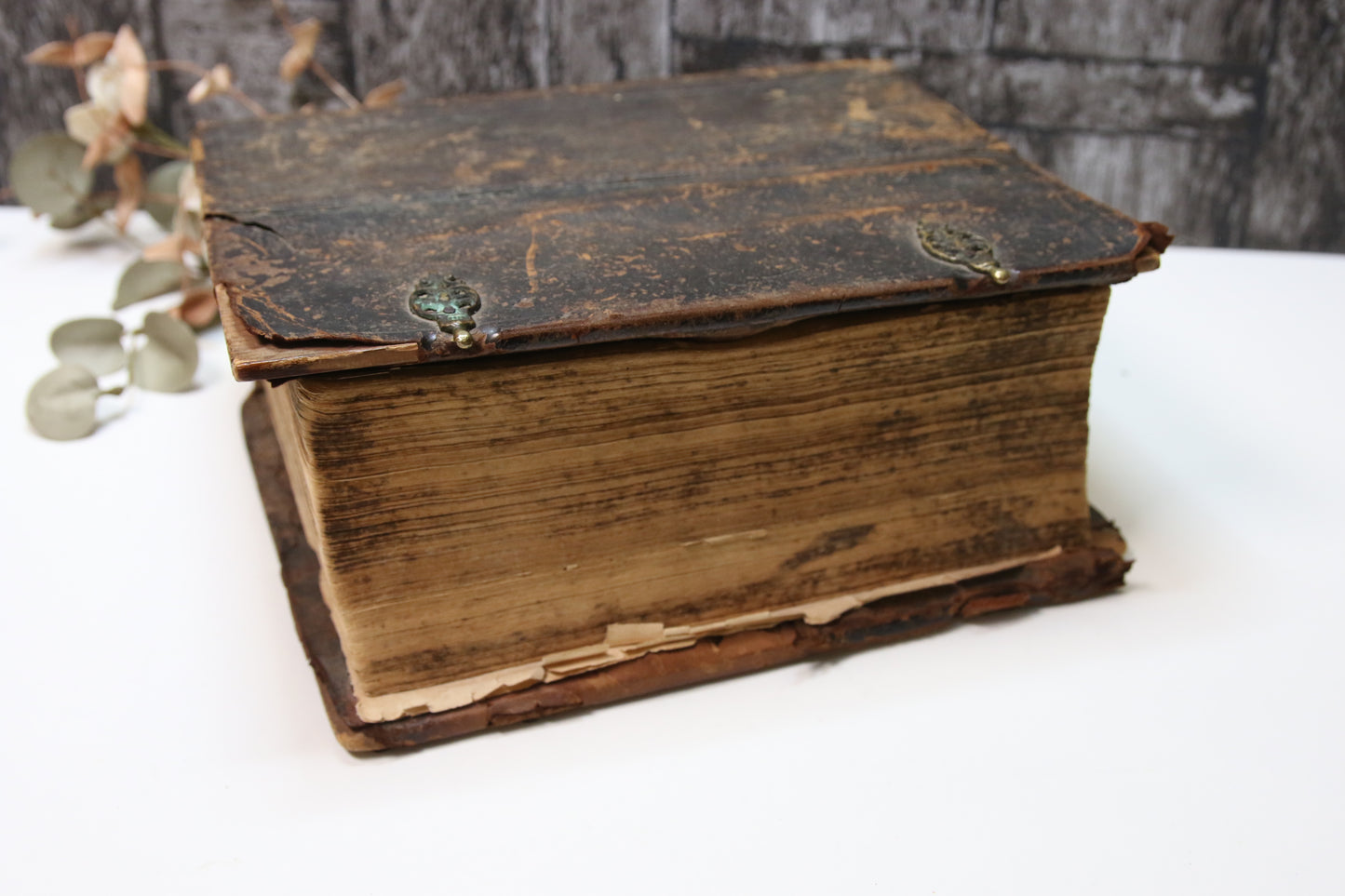 Vanha Raamattu Biblia vuodelta 1832