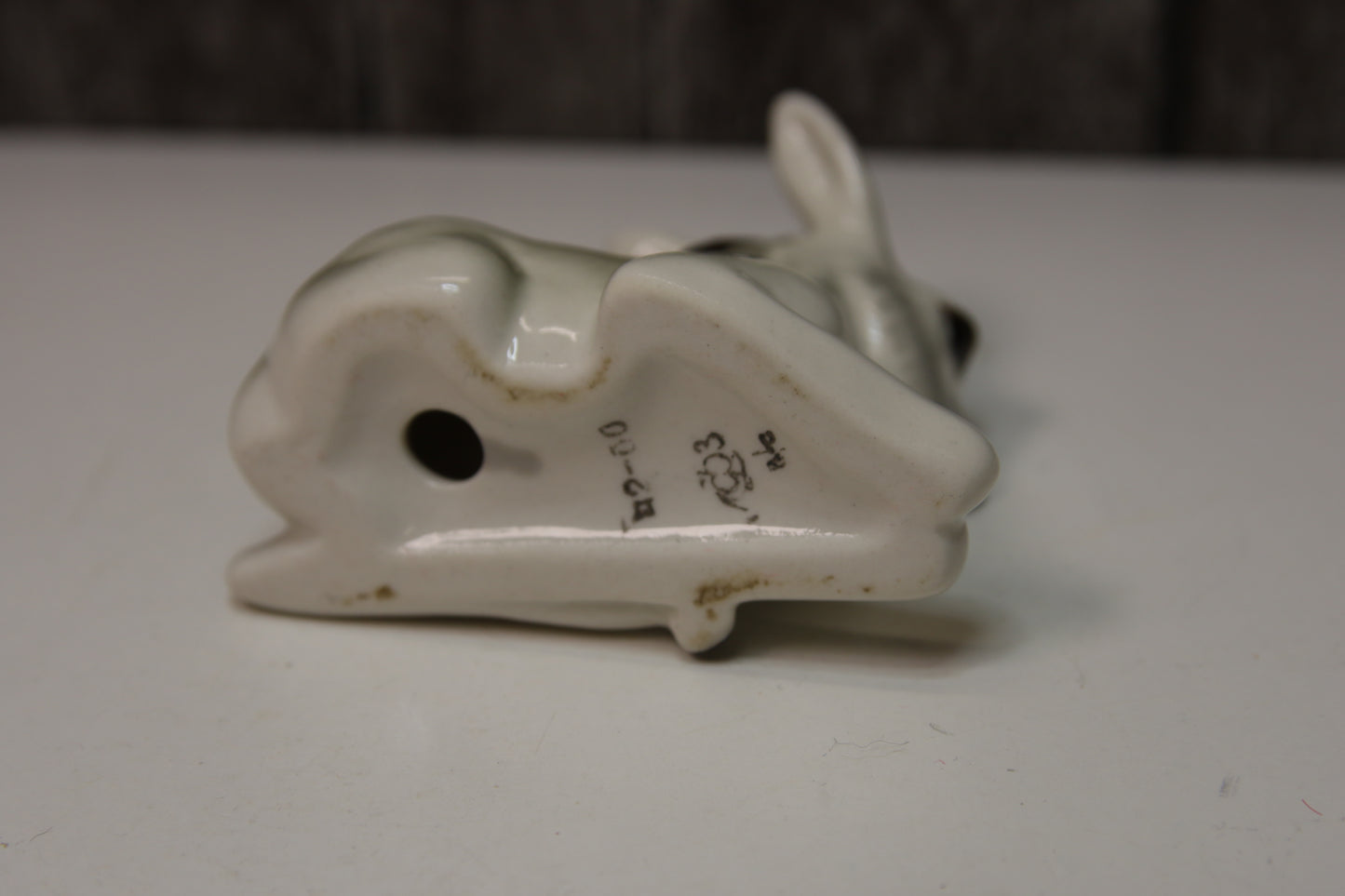 Lomonosov Aasi varsa