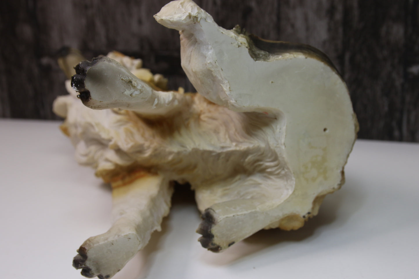 Lassie/Collie patsas