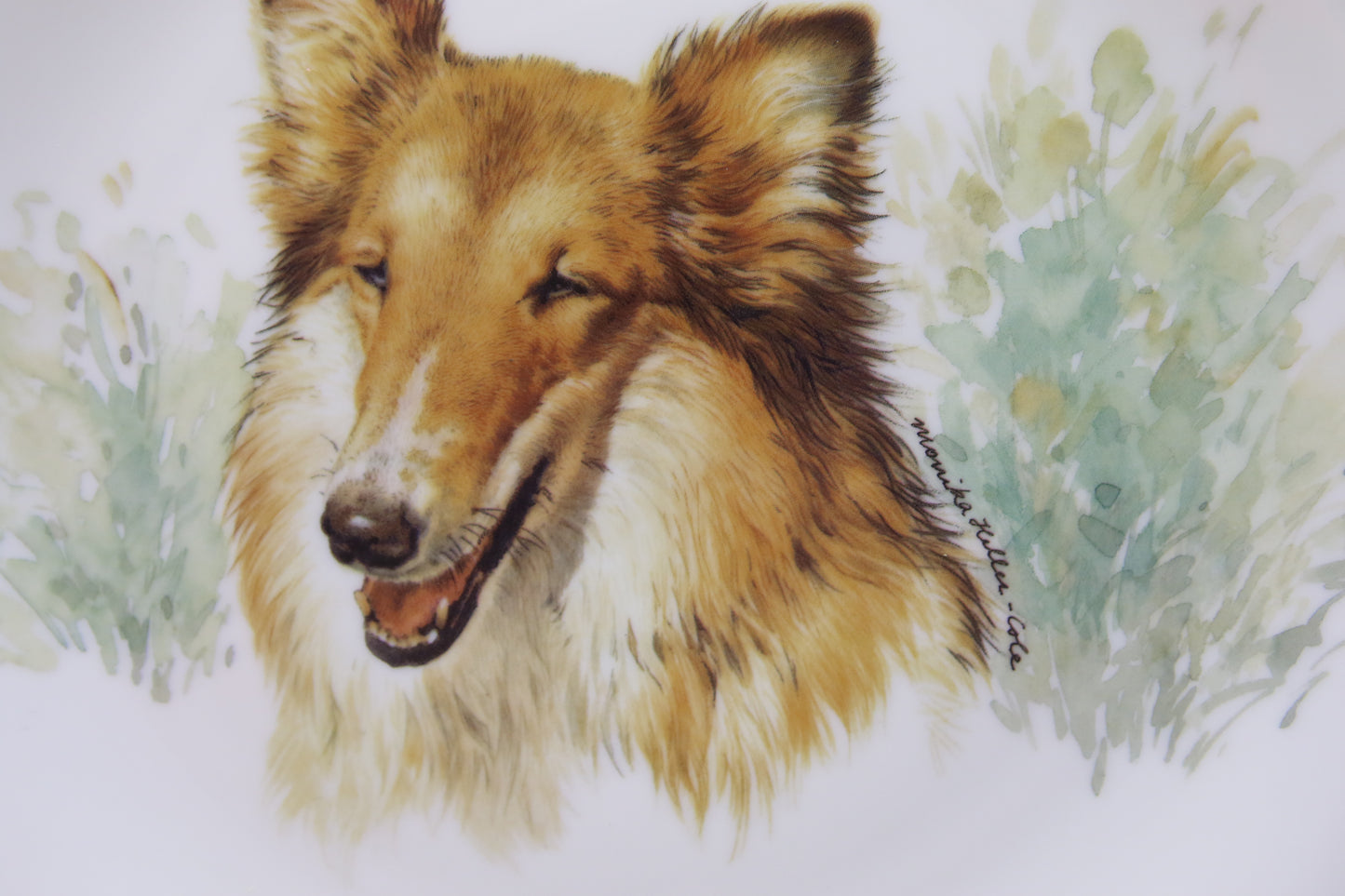 Seinälautanen Collie