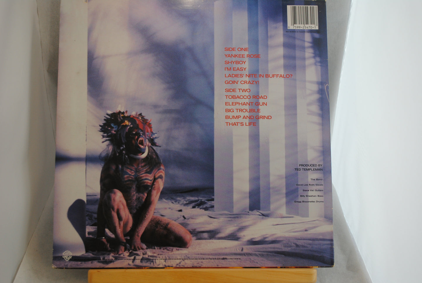 David Lee Roth Skyscrader Lp-levy