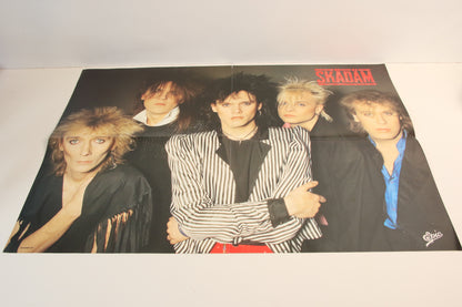 Skädäm Mustat Joutsenet Lp-levy julisteella