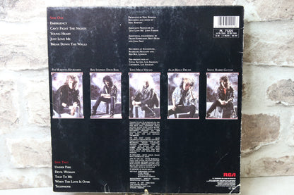 Shy Excess All Areas Lp-levy