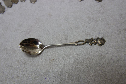 Alpakka pikkulusikat 12kpl