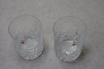 Iittala Roxy juomalasi 2kpl Kari Uusitalo