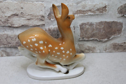 Lomonosov Kauris/Peura Figuuri