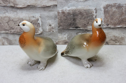 Lomonosov Peltopyy figuuri