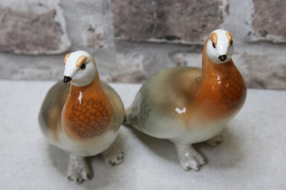 Lomonosov Peltopyy figuuri