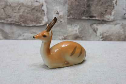 Lomonosov Makaava Gaselli figuuri