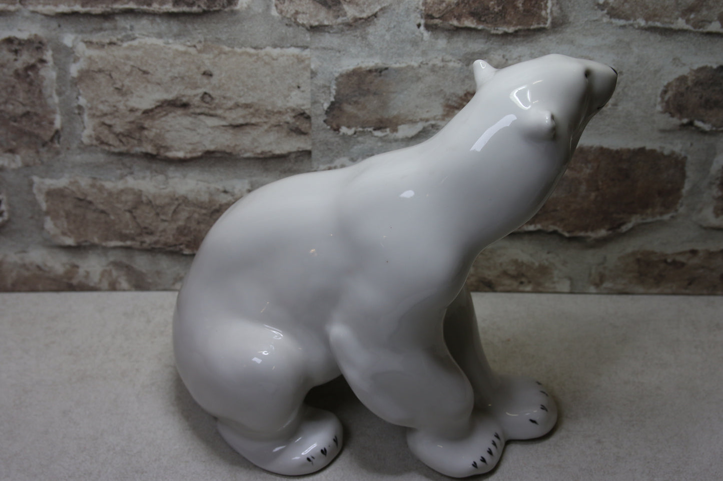 Lomonosov Istuva Iso Jääkarhu