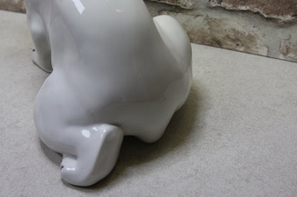 Lomonosov Istuva Iso Jääkarhu