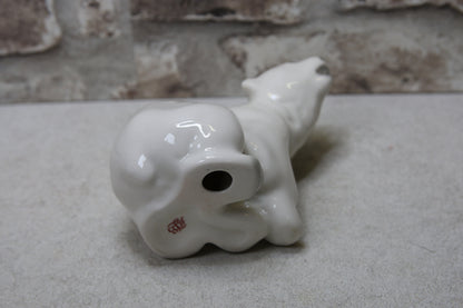 Lomonosov Jääkarhun poikanen