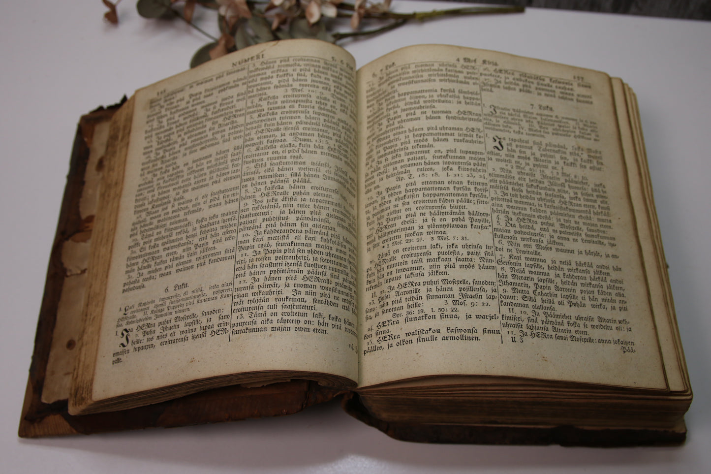 Vanha Raamattu Biblia vuodelta 1832