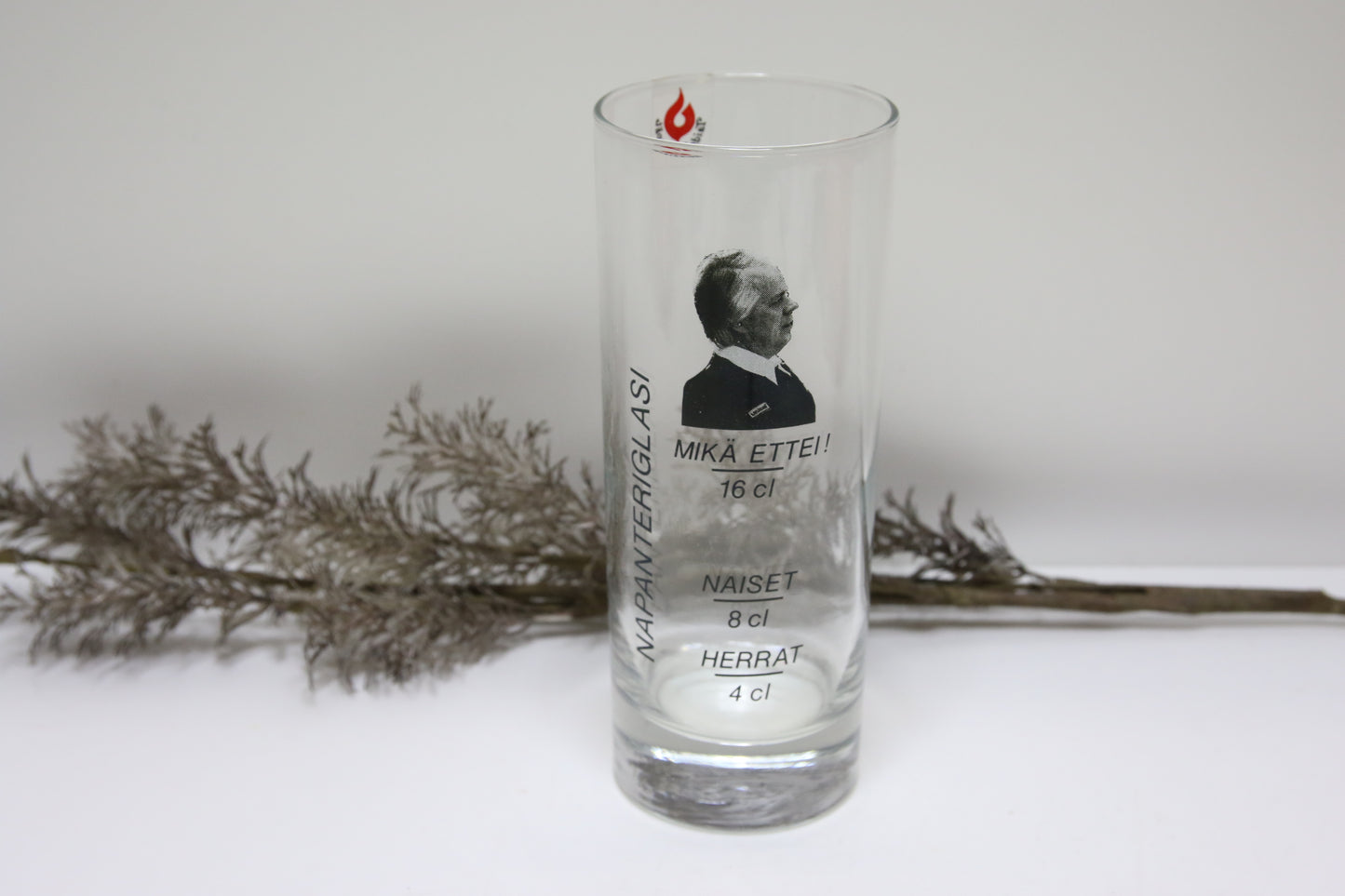 Taidelasisepät Napanterilasi