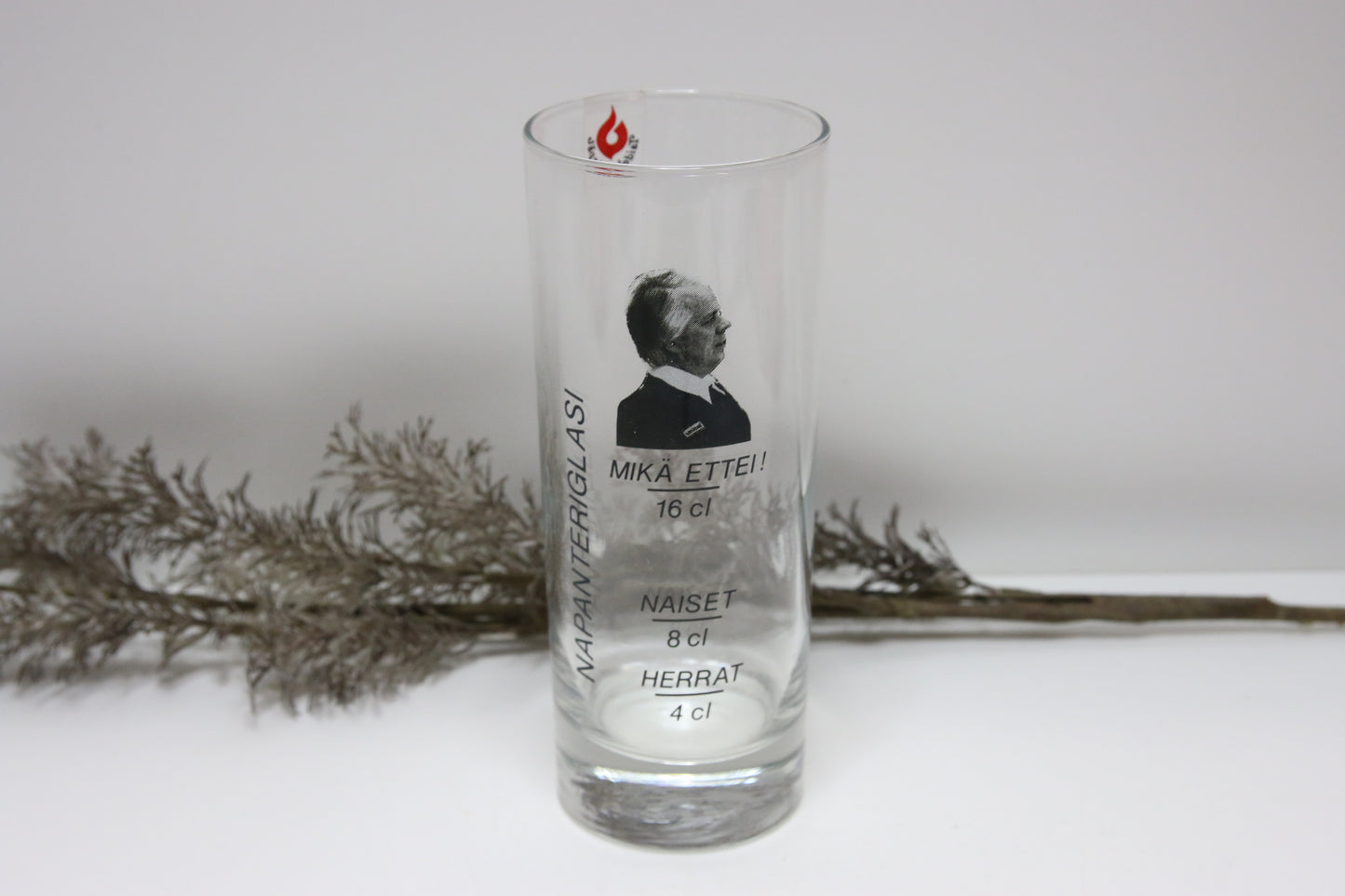 Taidelasisepät Napanterilasi