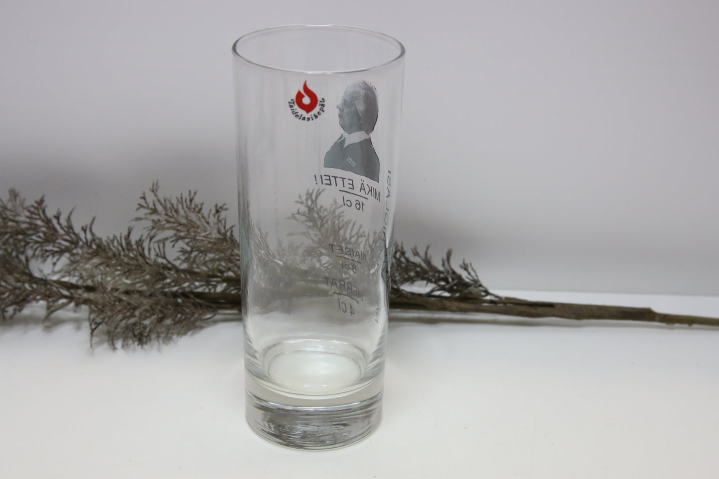 Taidelasisepät Napanterilasi