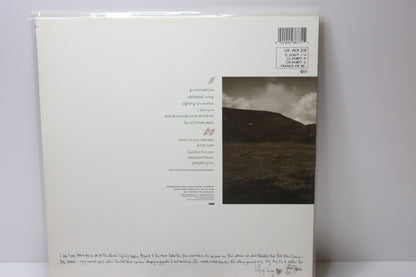 Tanita Tikaram Ancient Heat Lp-levy