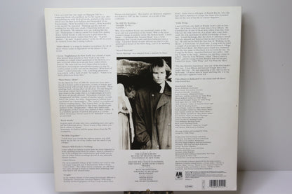 Sting Nothing Like The Sun Lp-levy