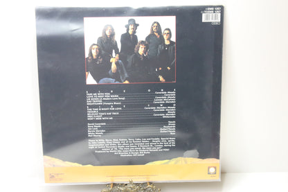 Whitesnake Trouble Lp-levy