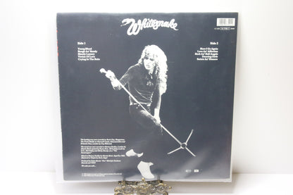 Whitesake Saint & Sinners Lp-levy