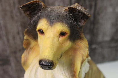 Lassie/Collie patsas