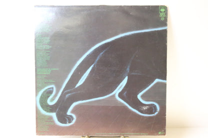 Aldi Meola Electric Rendezvous Lp-levy