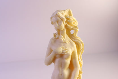 Naisfiguuri