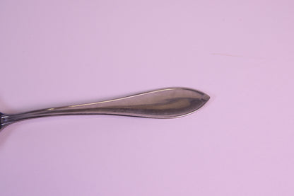 Sorsakoski Tarjoilulusikka