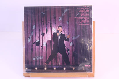 Robert Gordon Rock Billy Boogie Lp-levy