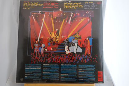 Sting Bringon the Night Tupla Lp-levy