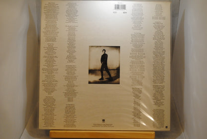 Sting The Soul Cages Lp-levy