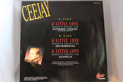 Ceejay A little love single levy 12