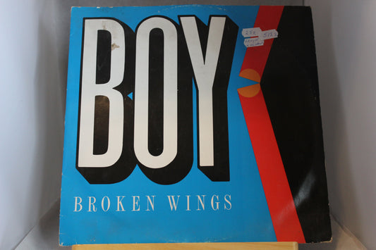 Boy Broken wings single 12