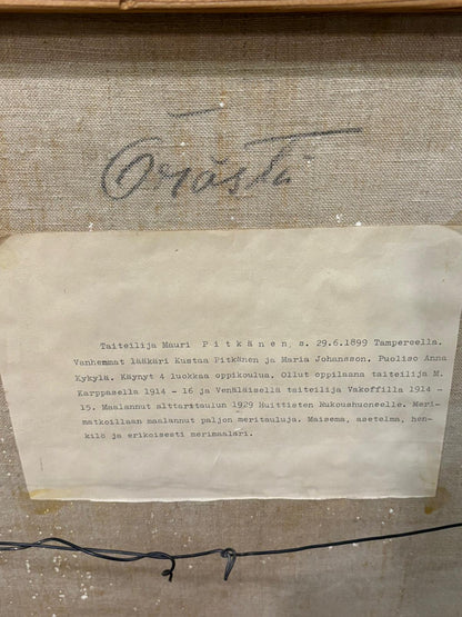 Mauri Pitkänen Taulu - 36