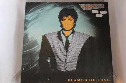 Fancy Flames of love lp - levy - Asadon AarteetLp - levyt