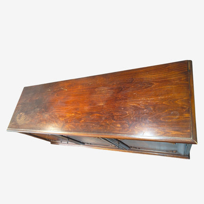 Tummanruskea koivusenkki